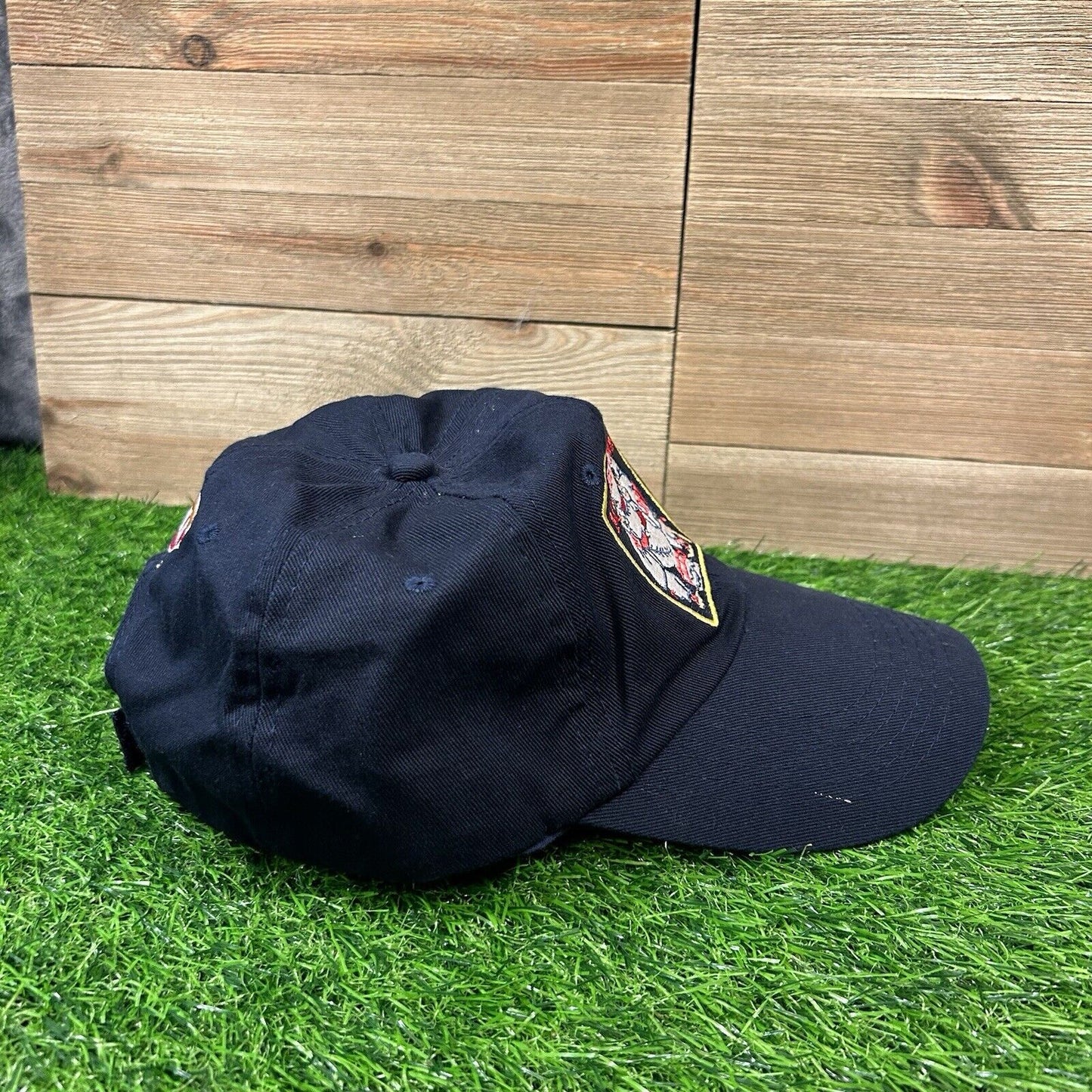 Minnesota Twins Hat Cap Mens Navy Strapback Paul & Minnie Big Logo Dairy Queen