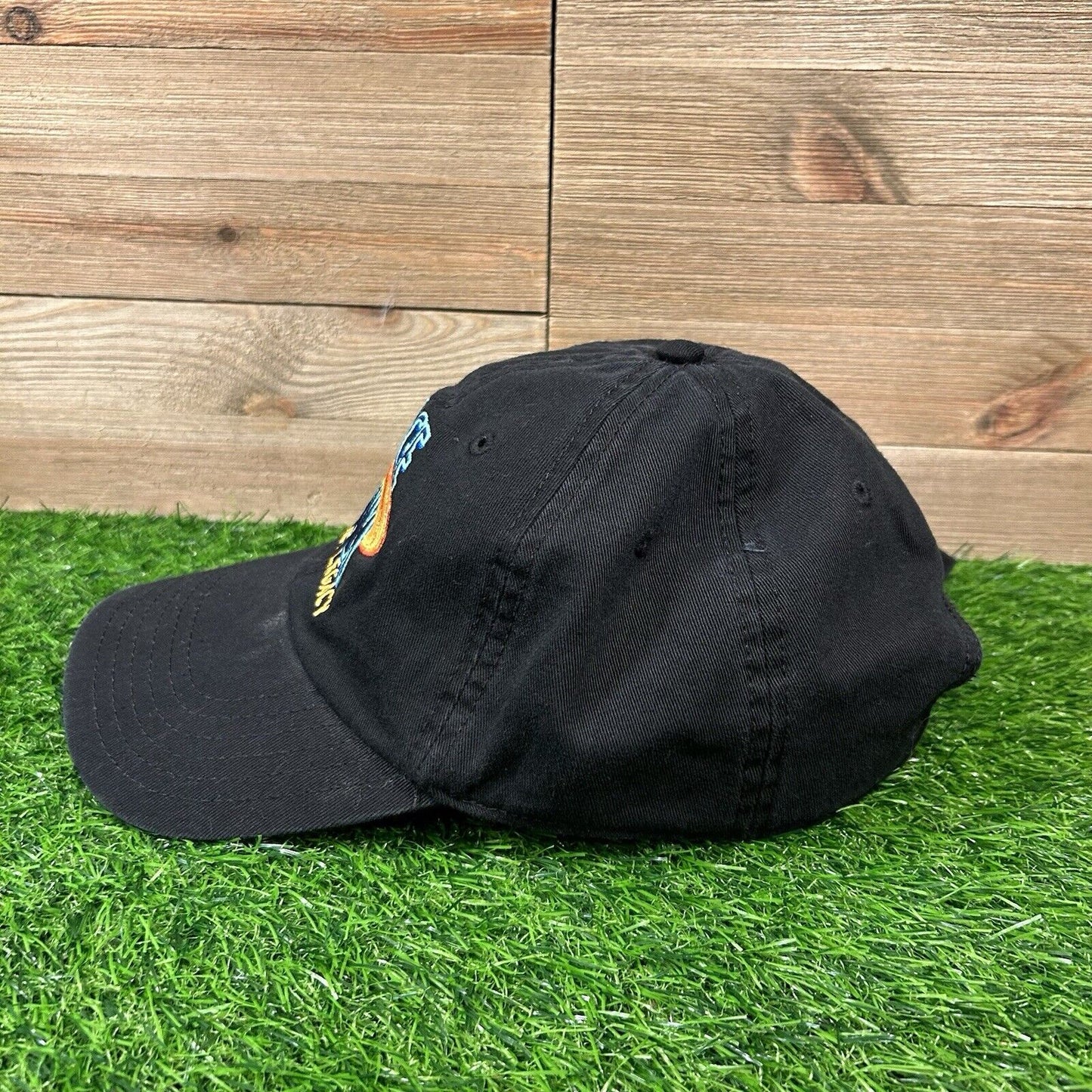 Space Jam Hat Cap Mens Black Strapback Golf Cartoon Adjustable Logo Warner Bros